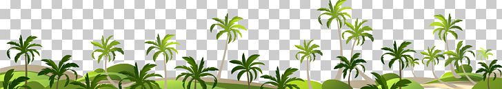 Adobe Illustrator Coconut PNG, Clipart, Beach, Border, Border Frame, Cartoon, Cartoon Scenery Free PNG Download