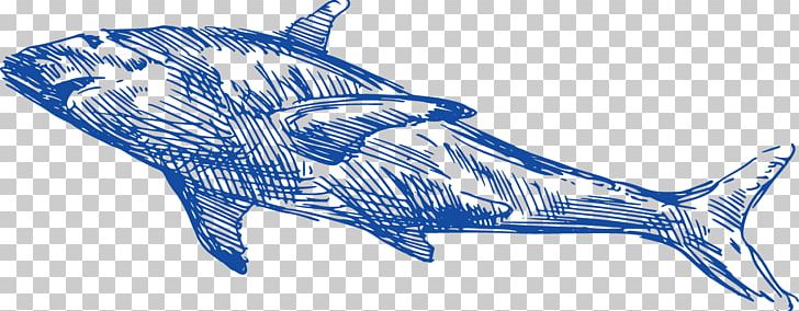 Requiem Shark Dolphin Whale PNG, Clipart, Animals, Electric Blue, Encapsulated Postscript, Fauna, Hand Free PNG Download