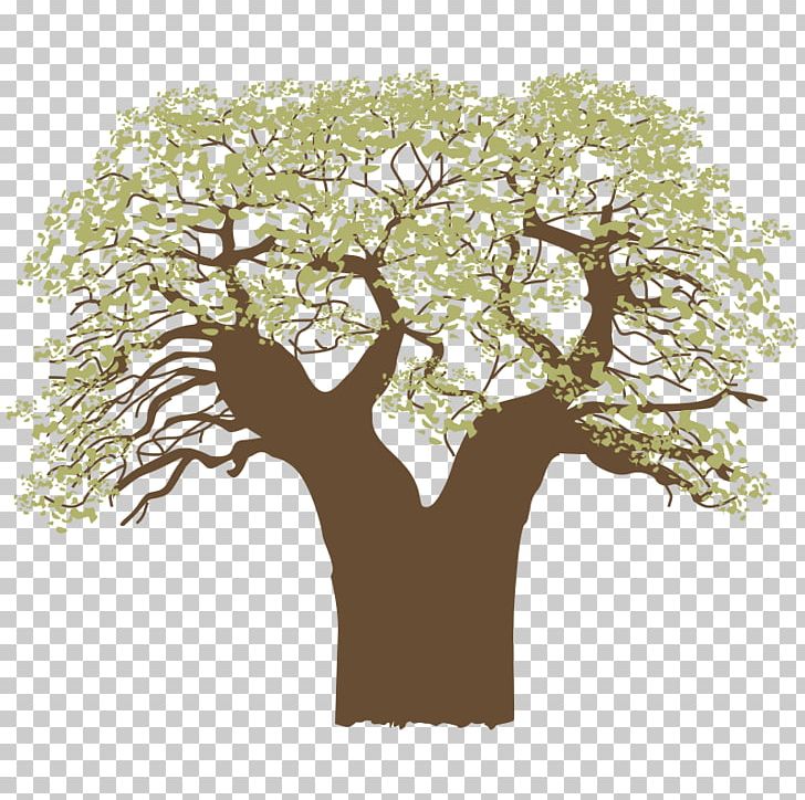 Tree PNG, Clipart, Branch, Christmas Tree, Computer Graphics, Family Tree, Flowers Free PNG Download