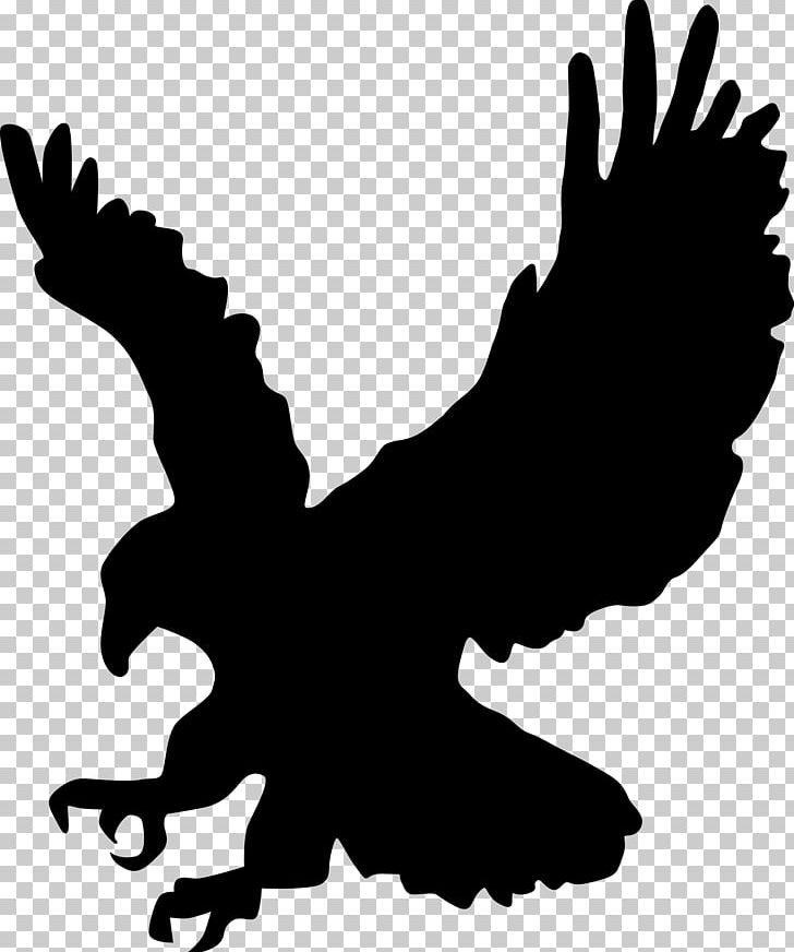 Bald Eagle Silhouette PNG, Clipart, Animals, Artwork, Bald Eagle, Beak, Bird Free PNG Download