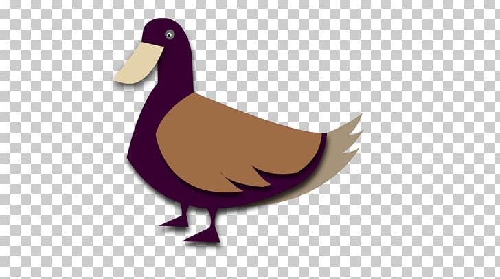Duck Goose Photography Drawing PNG, Clipart, 2011, Animal, Animals, Beak, Bird Free PNG Download