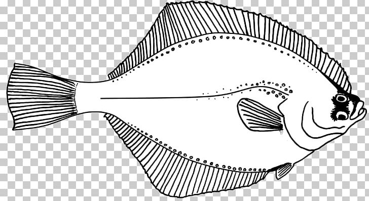 Line Art Fish Drawing Flounder PNG, Clipart, Angle, Animals, Artwork, Black And White, Cartoon Free PNG Download