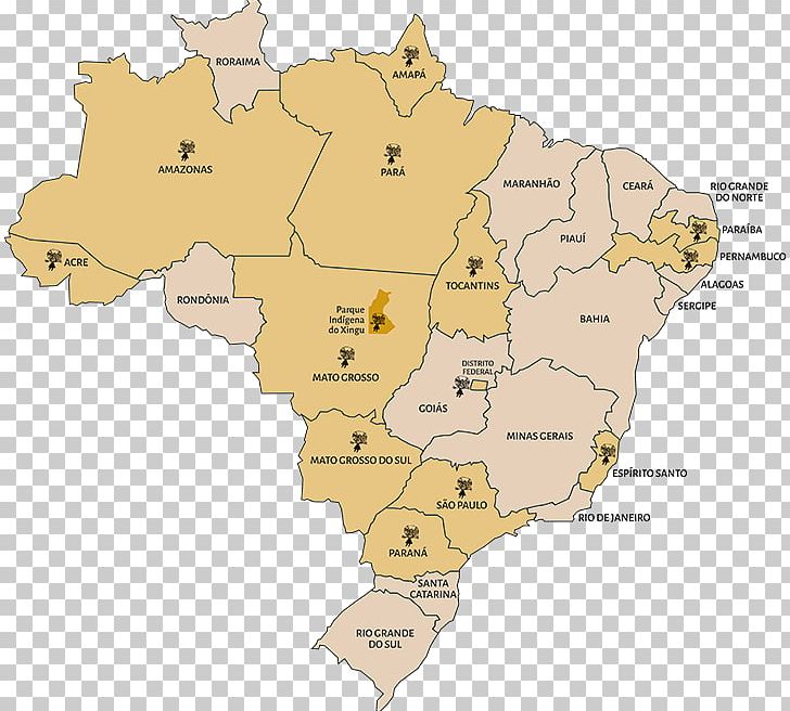 Regions Of Brazil Brasilian Alkuperäiskansat Xingu National Park Mapa Polityczna PNG, Clipart, Americas, Area, Blank Map, Brazil, Ecoregion Free PNG Download