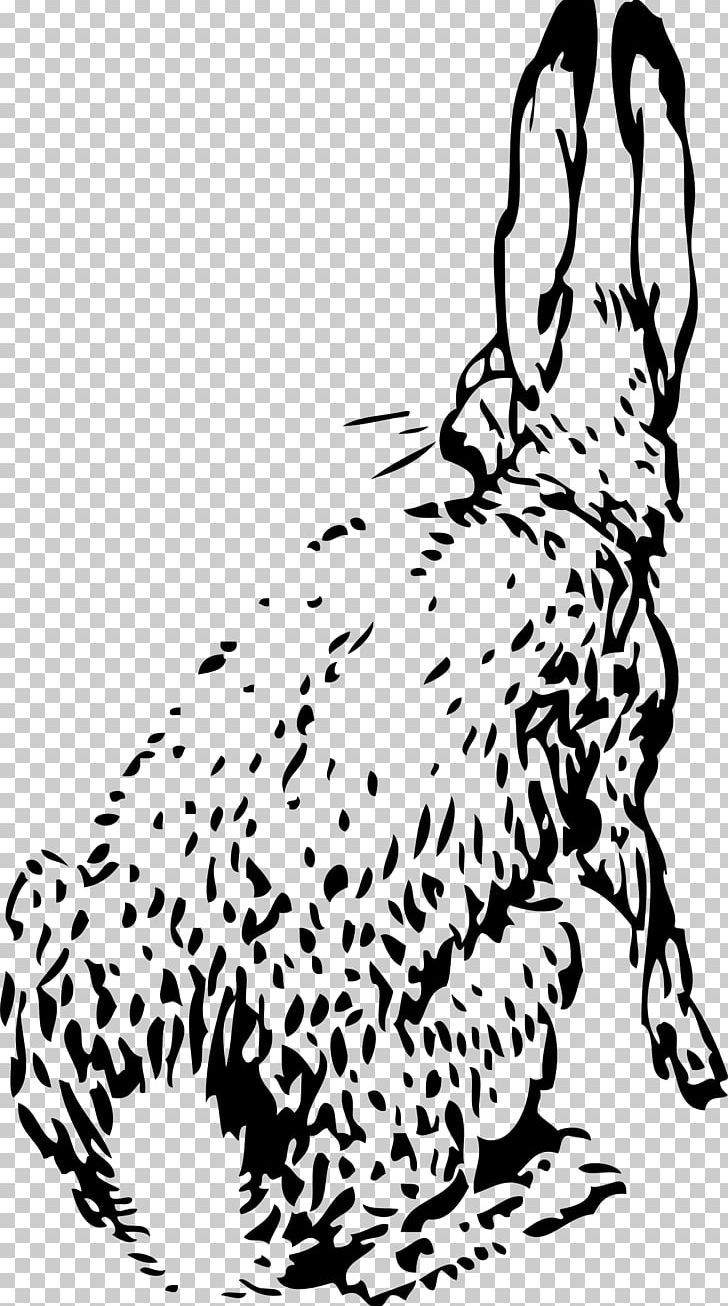 White Rabbit European Hare PNG, Clipart, Animals, Artwork, Big Cats, Black, Carnivoran Free PNG Download