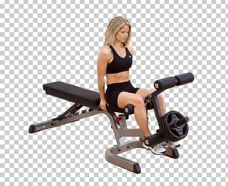 Human Leg Gluteal Muscles Bench Strength Training PNG, Clipart, Arm, Bench, Biceps Curl, Bodysolid Inc, Exercise Free PNG Download