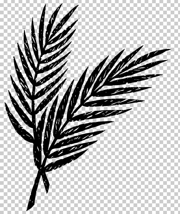 Palm Sunday Holy Week Easter Lent Maundy Thursday PNG, Clipart, Arecaceae, Arecales, Ash Wednesday, Black And White, Blessing Free PNG Download