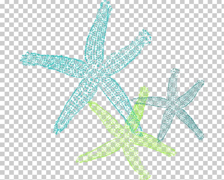 The Star Thrower Starfish Teal Turquoise PNG, Clipart, Animals, Aqua, Blue, Clip Art, Color Free PNG Download