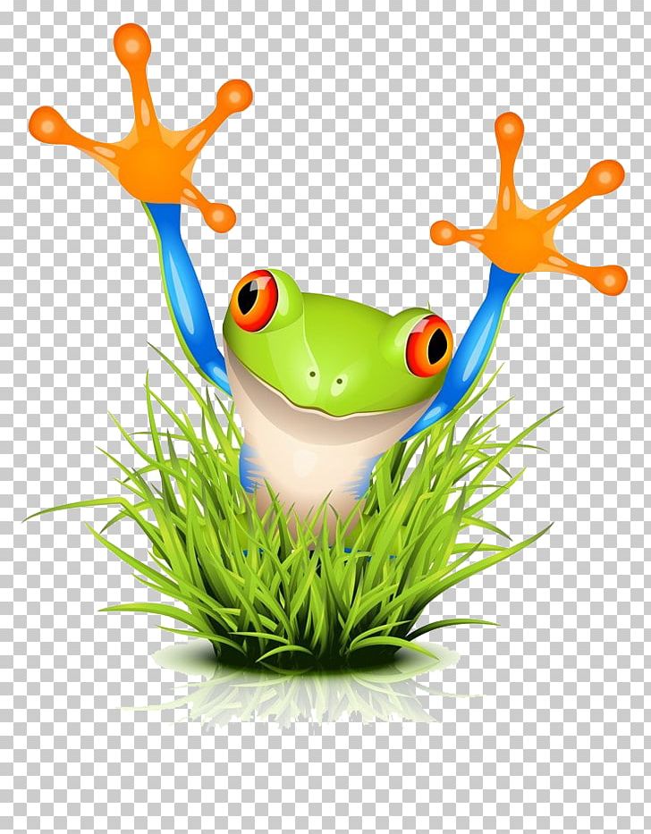 Tree Frog PNG, Clipart, Amphibian, Animals, Cartoon, Cartoon Hand Drawing, Clumps Free PNG Download