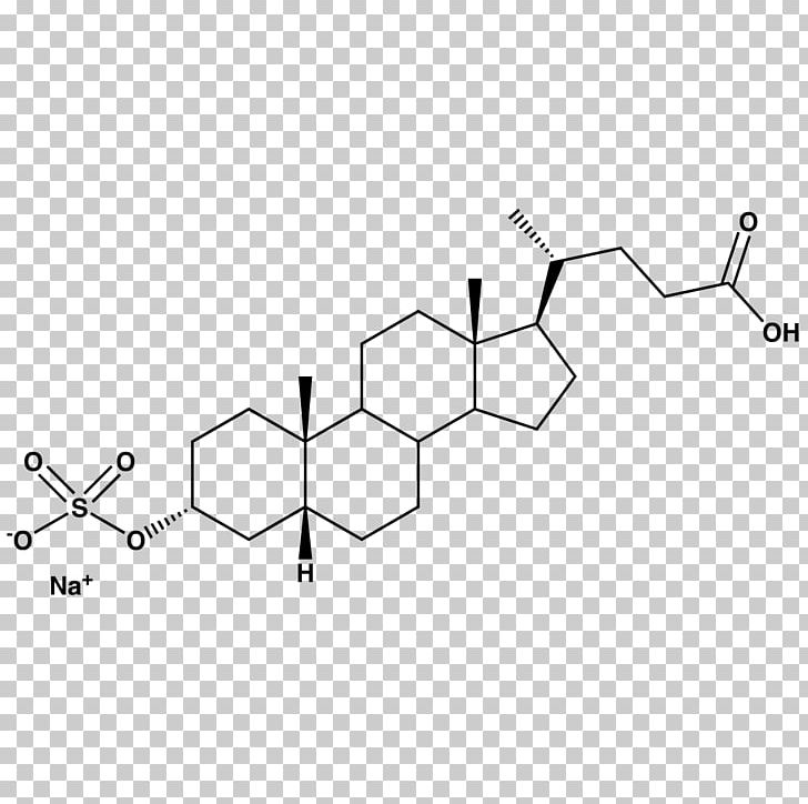 Bile Acid Anabolic Steroid Cholic Acid Ursodiol PNG, Clipart, Acid, Anabolic Steroid, Anabolism, Androgen, Angle Free PNG Download