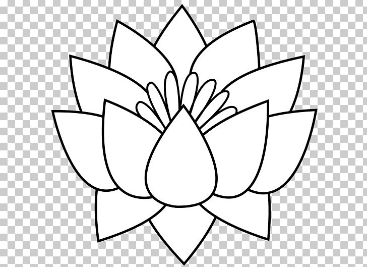 Drawing Nelumbo Nucifera Line Art Flower PNG, Clipart, Area, Art, Black And White, Cartoon, Circle Free PNG Download