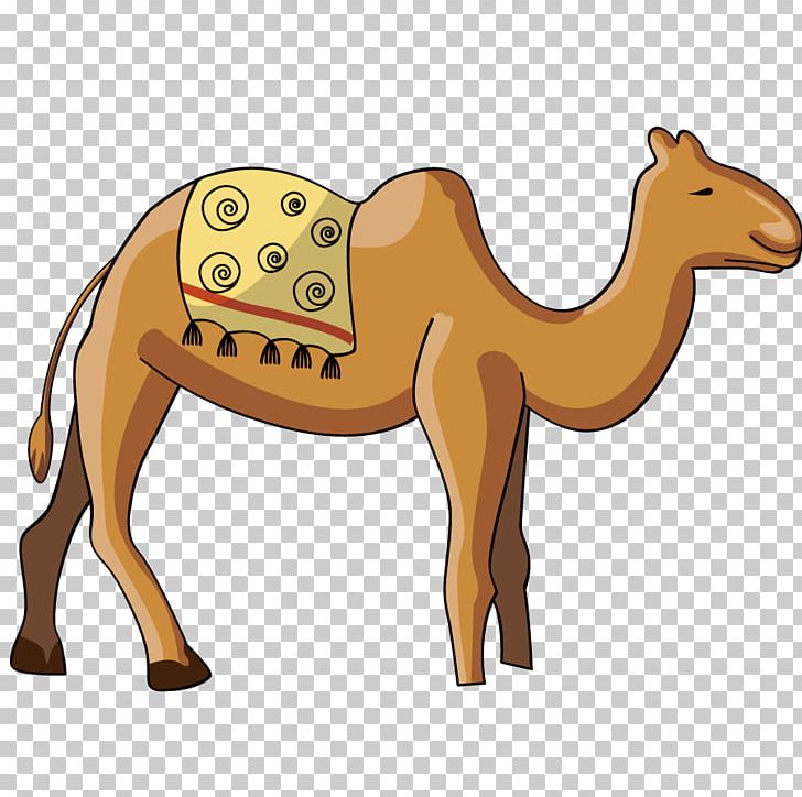 Dromedary PNG, Clipart, Animal, Animals, Arabian Camel, Camel Vector, Happy Birthday Vector Images Free PNG Download