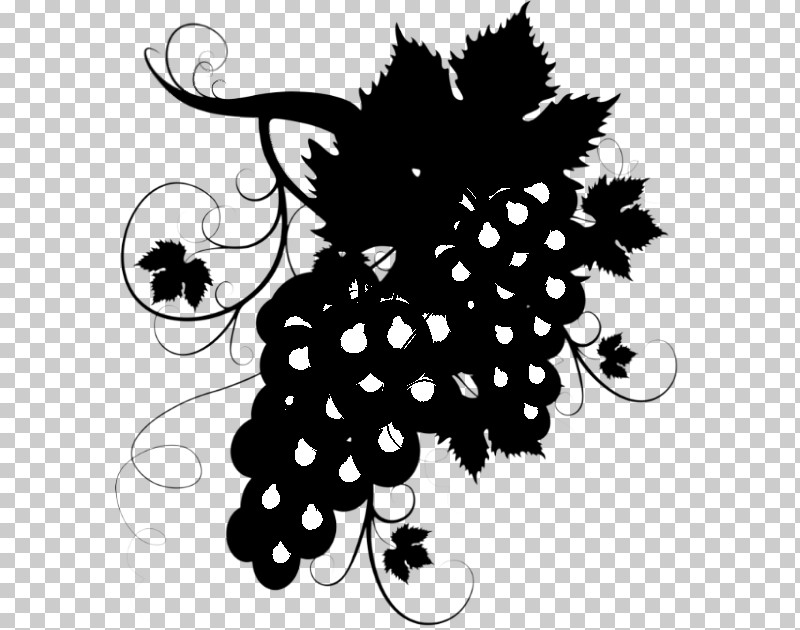Feather PNG, Clipart, Blackandwhite, Feather, Grape, Grapevine Family, Leaf Free PNG Download