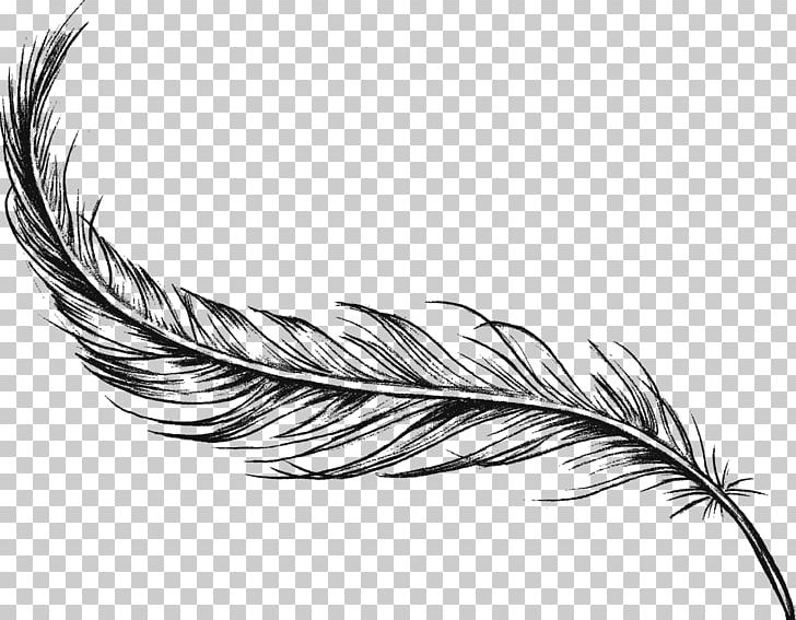 Feather Drawing Art Charcoal PNG, Clipart, Animals, Art, Beak, Bird, Black And White Free PNG Download