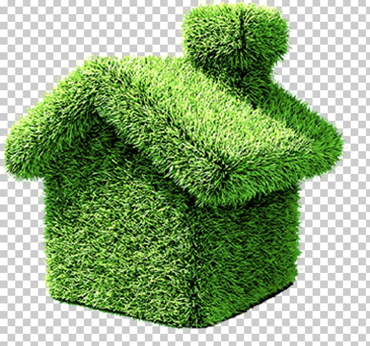 House Environmentally Friendly Green Home Green Building PNG, Clipart, Architect, Building, Christmas Tree, Efficient Energy Use, Environmental Free PNG Download