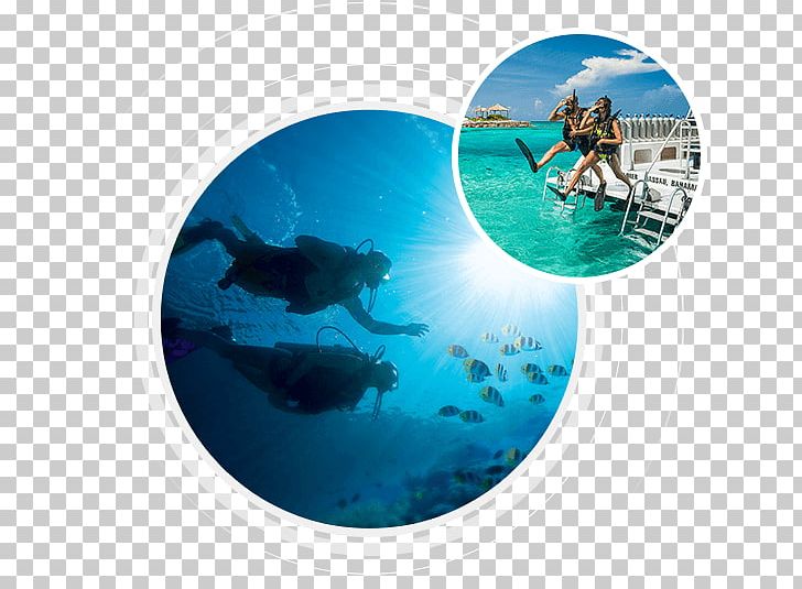 Scuba Diving Underwater Diving Scuba Set Recreational Dive Sites Wajag Island PNG, Clipart, Adventure, Aqua, Dive Center, Divemaster, Diving Free PNG Download