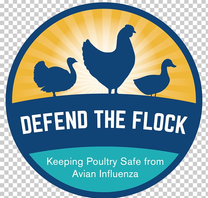 Avian Influenza Chicken Disease United States Department Of Agriculture Health PNG, Clipart, Advertising, Agriculture, Animals, Area, Avian Influenza Free PNG Download