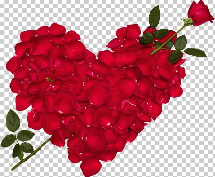 Blue Rose Love Flower Desktop PNG, Clipart, Blue Rose, Cut Flowers, Floribunda, Flower, Flowering Plant Free PNG Download