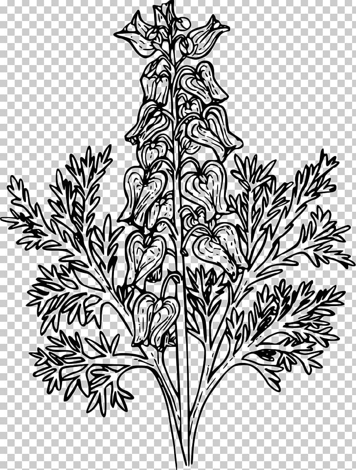 Drawing Bleeding Heart Plant PNG, Clipart, Black And White, Bleeding Heart, Botanical Illustration, Branch, Drawing Free PNG Download