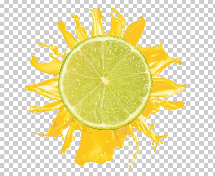 Lemon Orange Juice Cocktail Mojito PNG, Clipart, Attractive, Citric Acid, Citrus, Color Splash, Food Free PNG Download