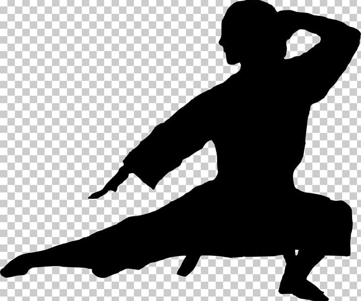 Silhouette Karate Martial Arts PNG, Clipart, Black, Black And White, Human Behavior, Joint, Karate Free PNG Download