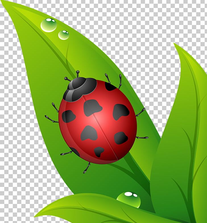 Cartoon Plant Illustration PNG, Clipart, Animation, Art, Ball, Beetle, Blade Free PNG Download