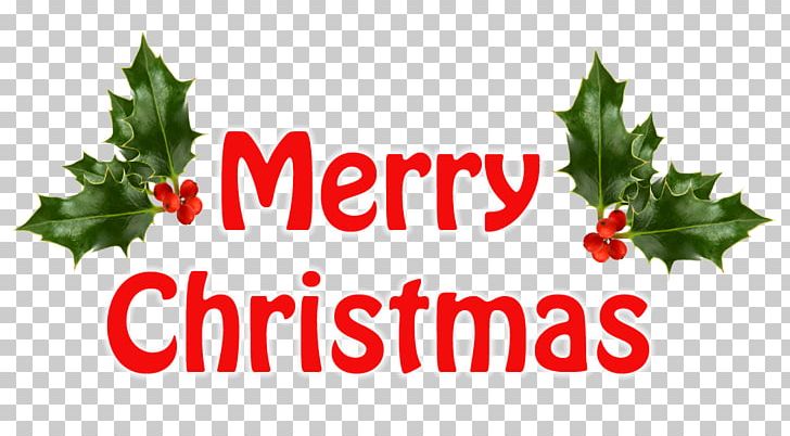 Christmas Eve Christmas Tree Christmas Card PNG, Clipart, Aquifoliaceae, Aquifoliales, Brand, Christmas, Christmas And Holiday Season Free PNG Download