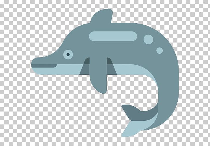 Dolphin Computer Icons PNG, Clipart, Angle, Animal, Animals, Aqua, Blue Free PNG Download