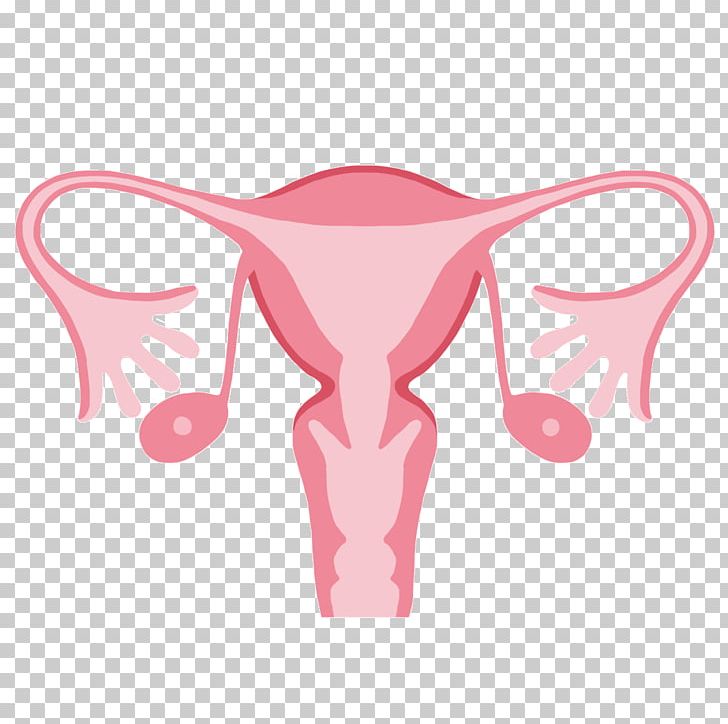 Intrauterine Device Uterus Birth Control Ovary Menstruation PNG, Clipart, Birth Control, Cancer, Cattle Like Mammal, Disease, Egg Cell Free PNG Download