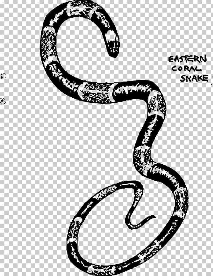Snake Vipers Drawing PNG, Clipart, Animals, Black And White, Boa Constrictor, Boas, Body Jewelry Free PNG Download