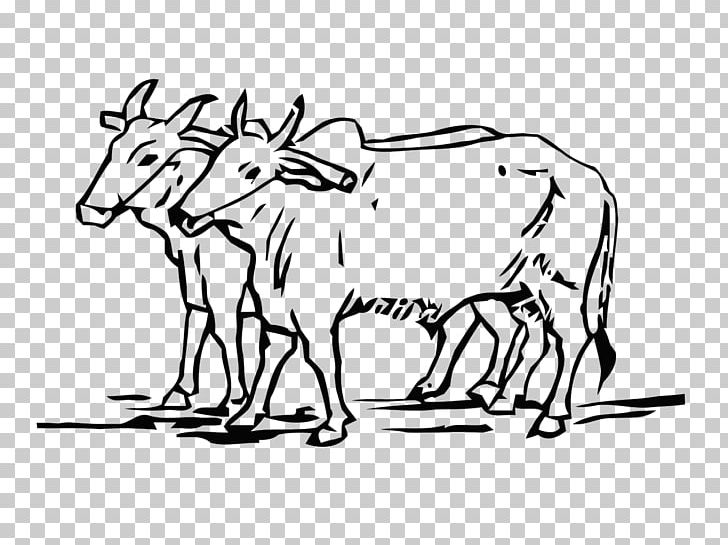 Ox Cattle Drawing Line Art Do Bailon Ki Katha PNG, Clipart, Agriculture, Animal Figure, Antelope, Antler, Area Free PNG Download