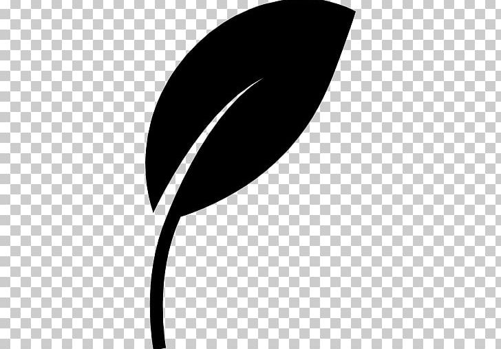 Symbol Computer Icons Leaf PNG, Clipart, Black, Black And White, Computer Icons, Computer Wallpaper, Download Free PNG Download