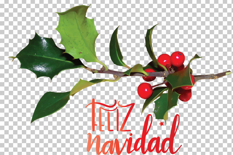 Feliz Navidad Merry Christmas PNG, Clipart, Aquifoliaceae, Aquifoliales, Branch, Common Holly, Feliz Navidad Free PNG Download