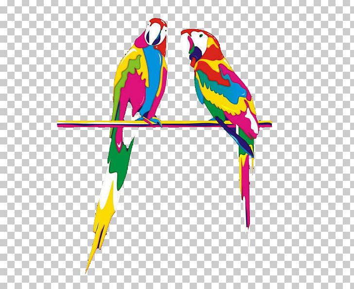 Budgerigar Parrot Bird Macaw PNG, Clipart, Animal, Animals, Beak, Birds, Bird Supply Free PNG Download