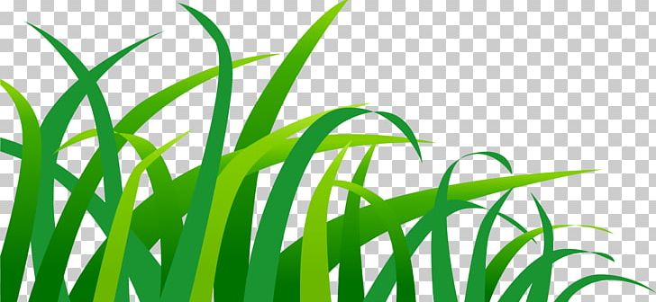 Green Euclidean PNG, Clipart, Air, Background Green, Beautiful, Breath, Commodity Free PNG Download