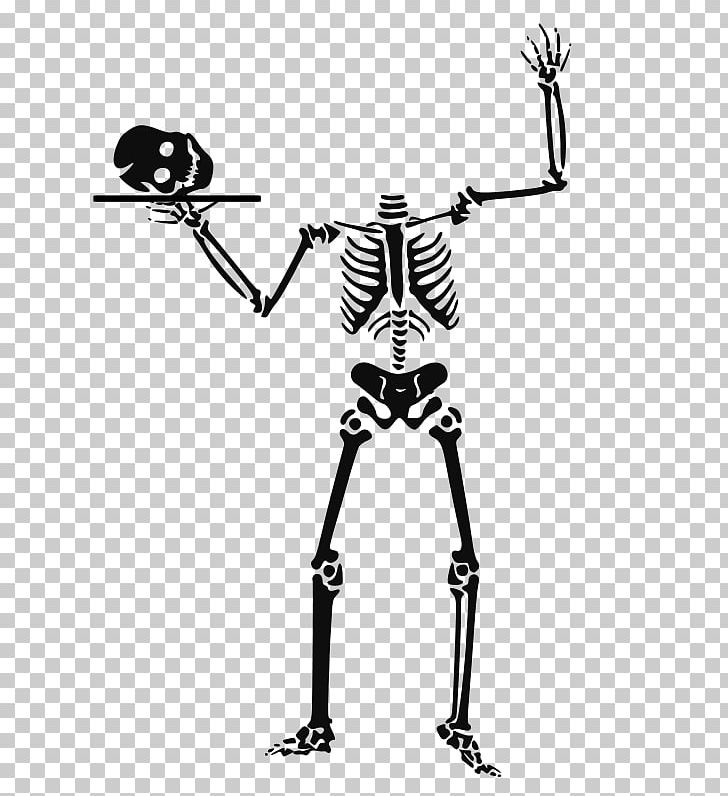 Halloween Human Skeleton PNG, Clipart, Art, Black And White, Bone, Free Halloween Vectors, Halloween Free PNG Download