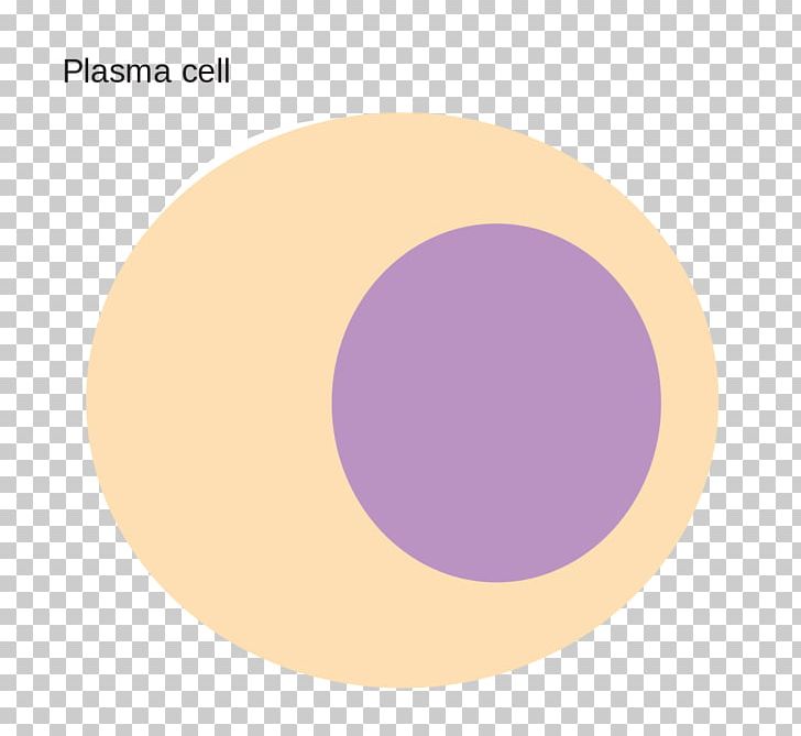 Plasma Cell Blood Plasma Information PNG, Clipart, Blood Plasma, Brand, Cell, Circle, Diagram Free PNG Download