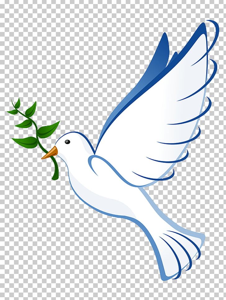 Columbidae Bird Doves As Symbols Olive Branch PNG, Clipart, Animals, Area, Artwork, Beak, Bird Free PNG Download