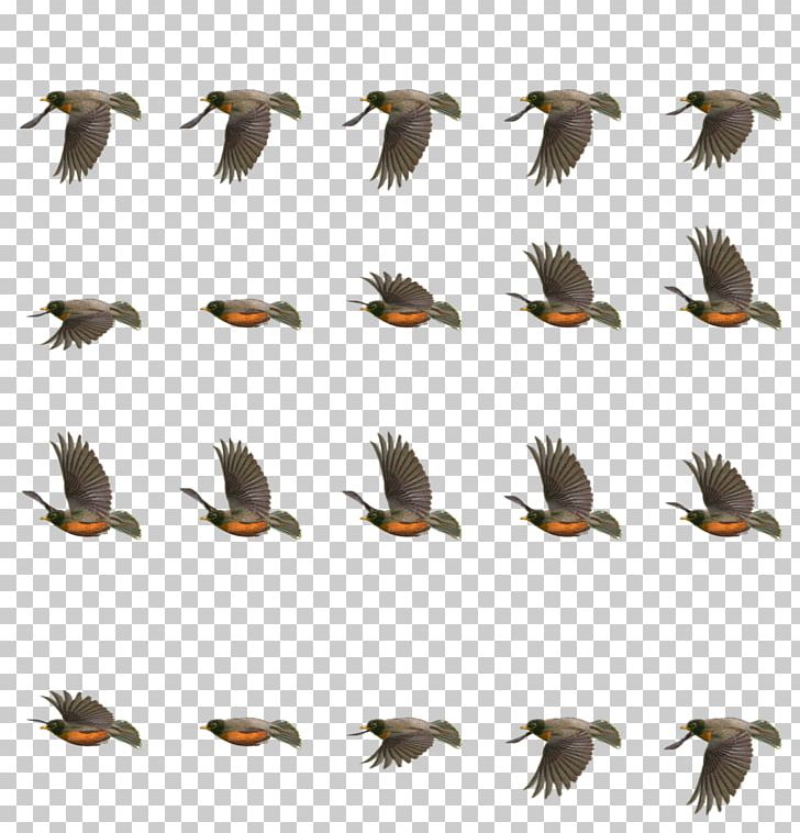 Flip Book Drawing Animation PNG, Clipart, Acridotheres, Animal Migration, Animation, Beak, Bird Free PNG Download