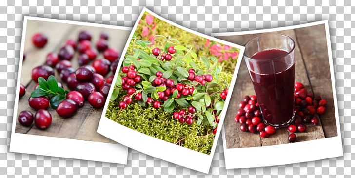 Cranberry Superfood Natural Foods PNG, Clipart, Auglis, Berry, Common Crane, Cranberry, Food Free PNG Download