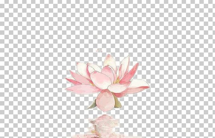Nelumbo Nucifera Watercolor Painting PNG, Clipart, Art, Beautiful, Blossom, Flower, Flowering Plant Free PNG Download