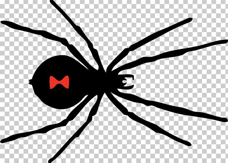 Southern Black Widow Spider PNG, Clipart, Arachnid, Arthropod, Black And White, Black Widow, Clip Art Free PNG Download