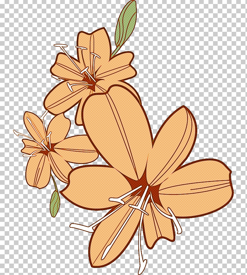 Lily Flower PNG, Clipart, Biology, Cut Flowers, Flower, Hand, Lily Flower Free PNG Download