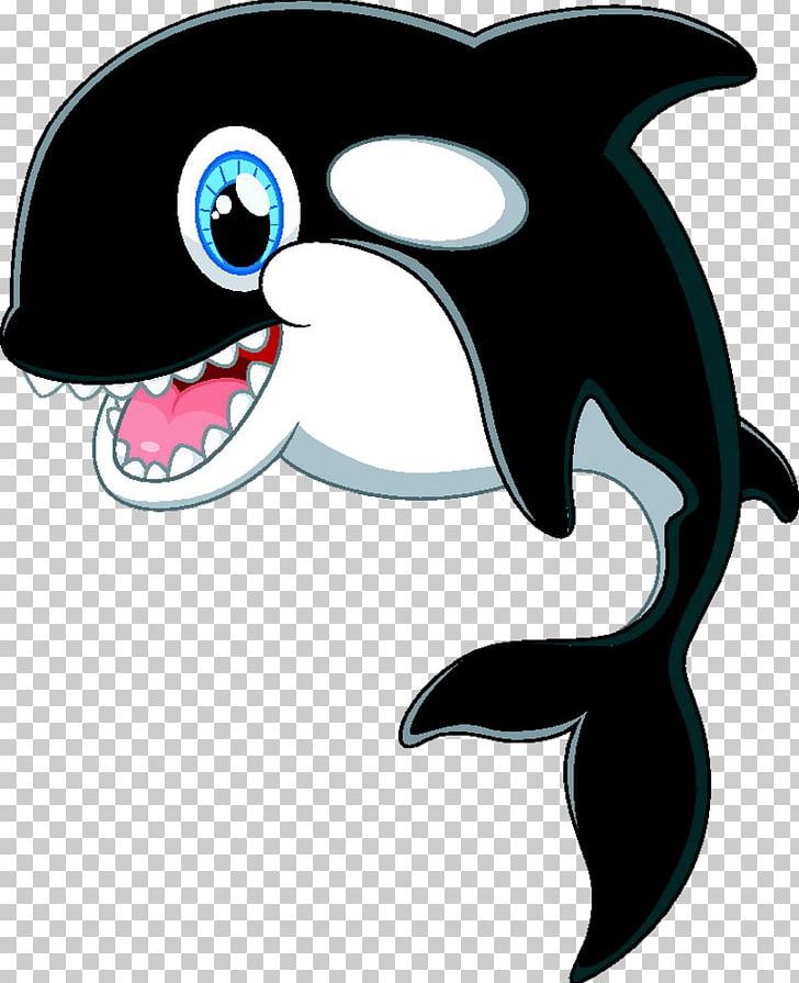 Cartoon Killer Whale PNG, Clipart, Animals, Aquatic Animal, Beak, Black, Black And White Free PNG Download
