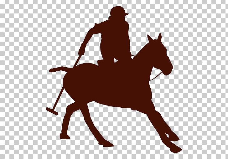 English Riding Caballo Polo Argentino Rein PNG, Clipart, Caballo, Clothing, Colt, Cowboy, English Riding Free PNG Download