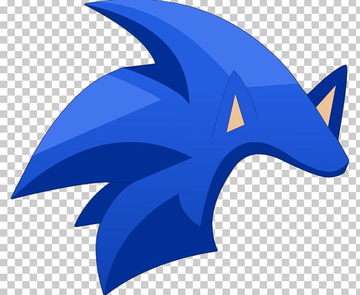 Sonic Dash Sonic The Hedgehog Shadow The Hedgehog Sonic CD Sonic Heroes PNG, Clipart, Blaze The Cat, Blue, Electric Blue, Fictional Character, Hair Free PNG Download