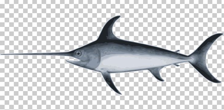 Swordfish Marlin Fishing PNG, Clipart, Billfish, Bony Fish, Cartilaginous Fish, Fin, Fish Free PNG Download