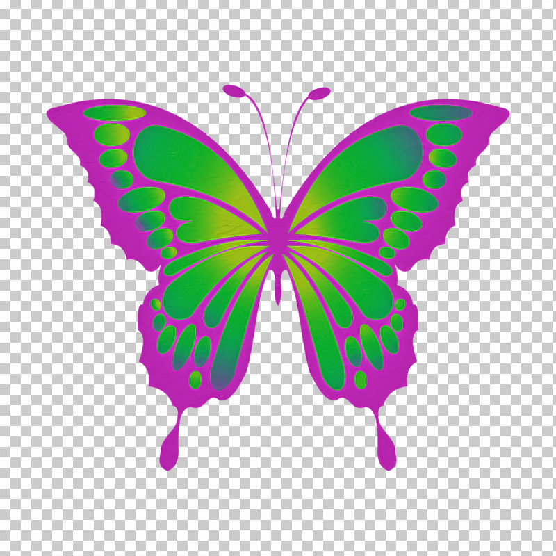 Monarch Butterfly PNG, Clipart, Butterflies, Cartoon, Drawing, Insect, Menelaus Blue Morpho Free PNG Download