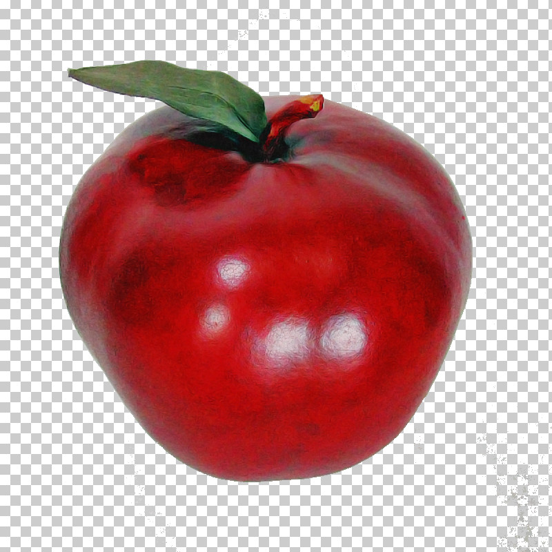 Tomato PNG, Clipart, Food, Fruit, Natural Foods, Plant, Red Free PNG Download