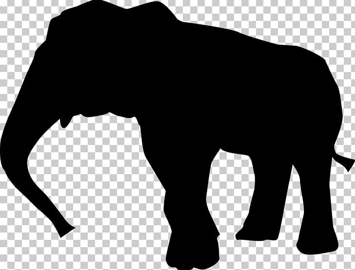 Asian Elephant African Elephant Elephants In Thailand PNG, Clipart, Animals, Asian Elephant, Black, Black And White, Cattle Like Mammal Free PNG Download