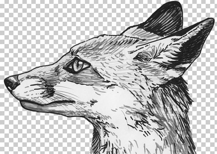 Drawing Fox Sketch PNG, Clipart, Animals, Art, Black And White, Carnivoran, Cartoon Free PNG Download